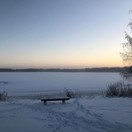Wonderful Arctic