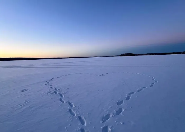 Wonderful Arctic Appartamento